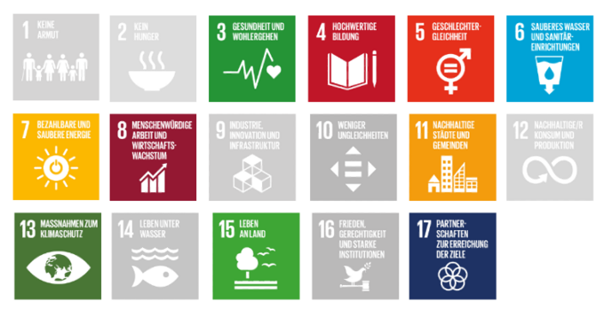 17 SDGs und farblich hervorgehoben die relevanten für den Wintersport