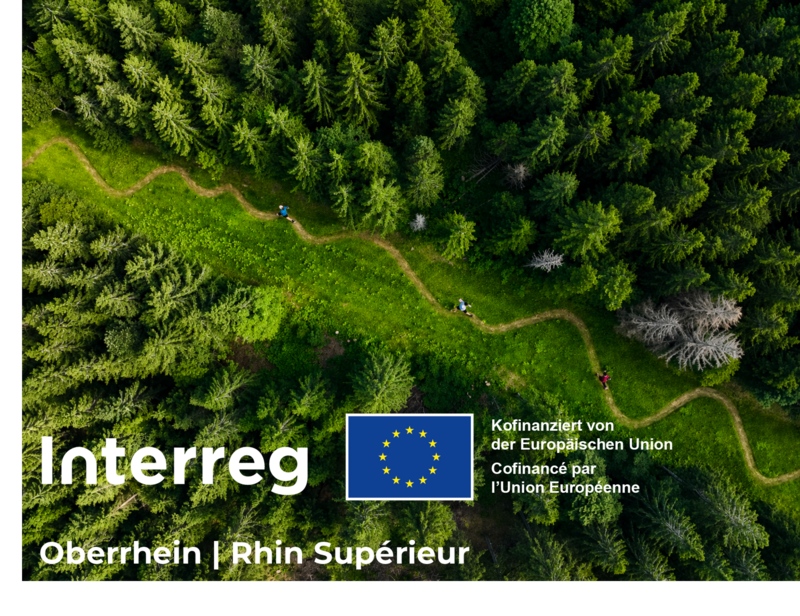 Interreg Logo vor einen Vogelperspektiven Bild von Trail Läufern im Wald
