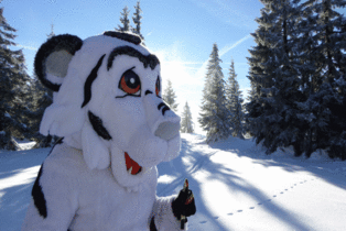 Das Maskottchen der Skitty World
