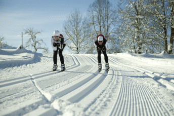Zwei Langläufer bei einer Abfahrt im Winter